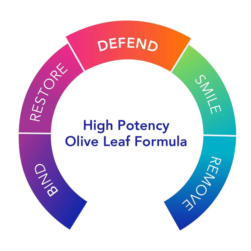Biocidin Botanicals - Olivirex® High Potency Olive Leaf Formula - OurKidsASD.com - 
