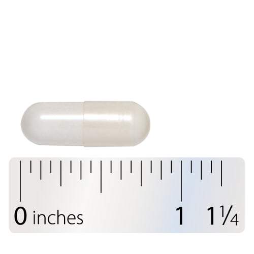 Integrative Therapeutics - Acetyl L-Carnitine (500mg)