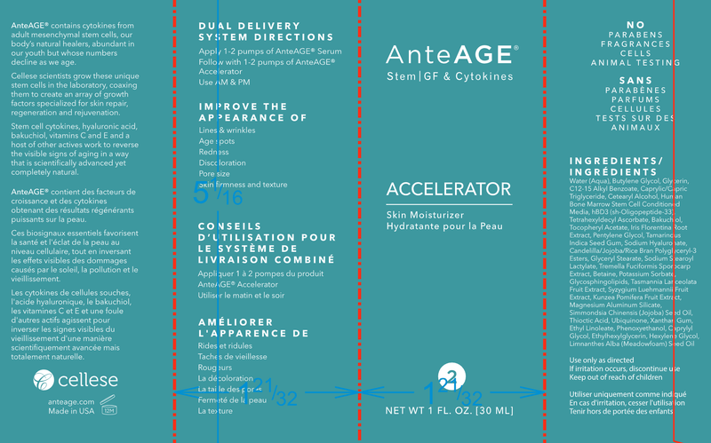 AnteAGE - AnteAGE Accelerator - OurKidsASD.com - 