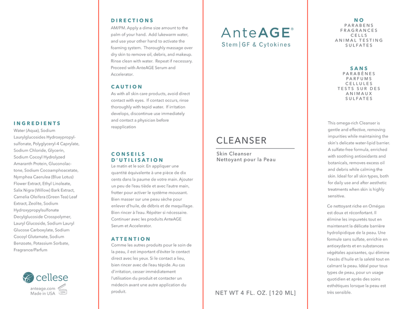 AnteAGE - AnteAGE Cleanser - OurKidsASD.com - 