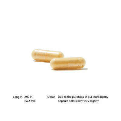 Thorne Research - Basic B Complex - OurKidsASD.com - #Free Shipping!#