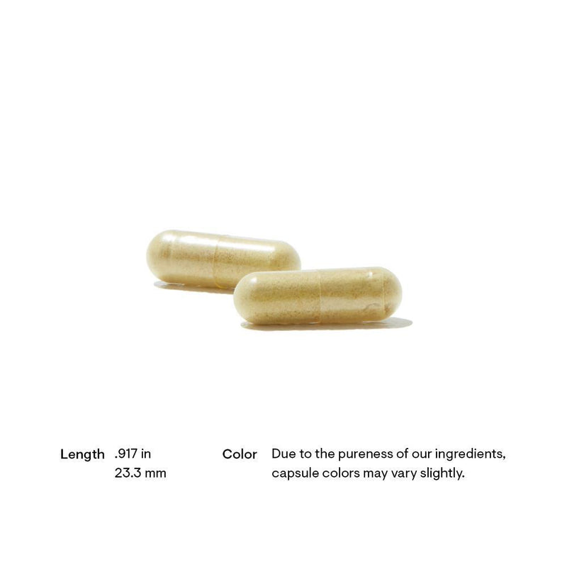Thorne Research - Basic Nutrients 2/Day - OurKidsASD.com - 