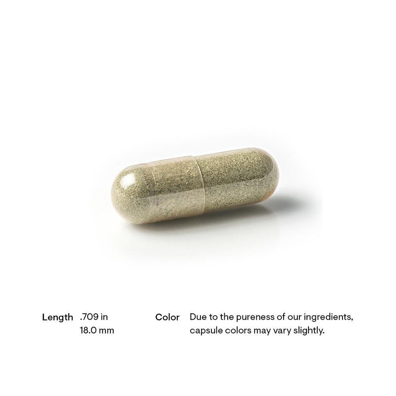 Thorne Research - Iron Bisglycinate - OurKidsASD.com - 