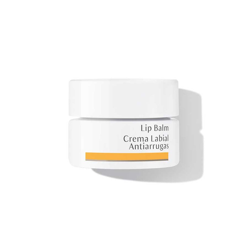 Dr. Hauschka Skincare - Lip Balm - OurKidsASD.com - 