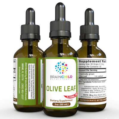 BrainChild Nutritionals - Olive Leaf - OurKidsASD.com - #Free Shipping!#
