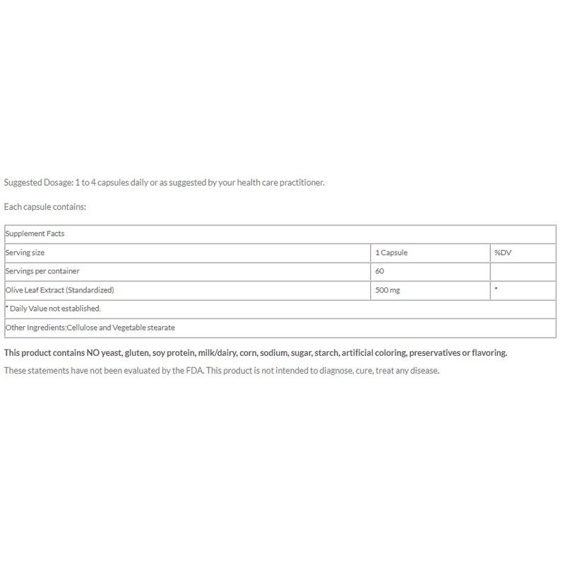 New Beginnings - Olive Leaf Extract 500 Mg - OurKidsASD.com - 
