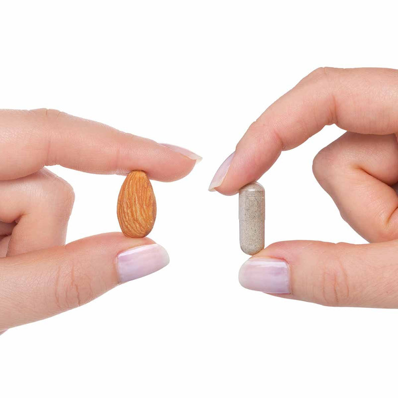 Seeking Health - Trace Minerals Complex - OurKidsASD.com - 